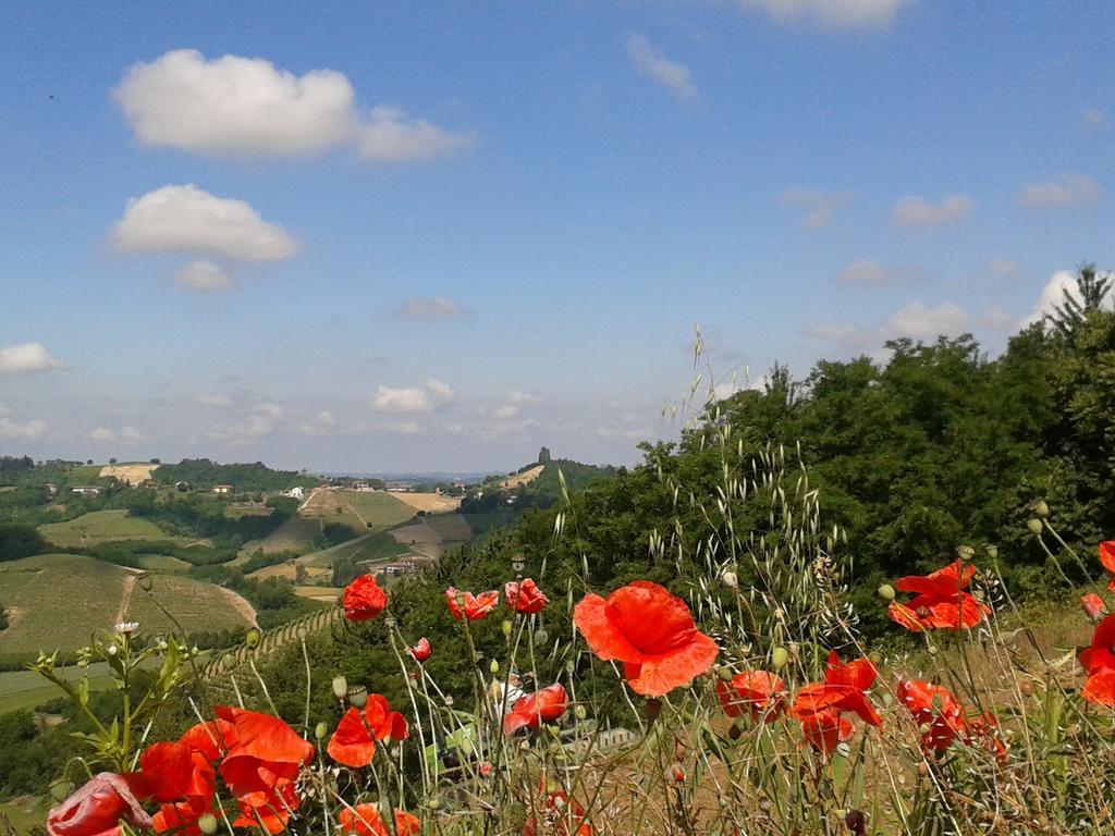 Ca D' Rot - Casa Ratti * Vinchio